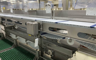 6 Key Factors to Consider When Buying Conveyors