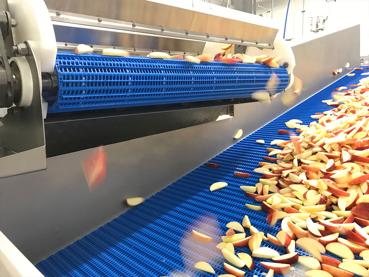 Apple Conveyors