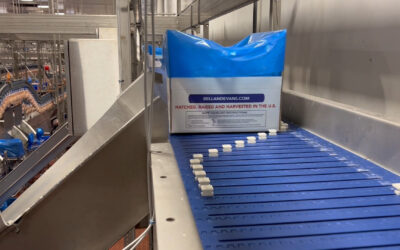 CHL Partners with Intralox to Bring Best-in-Class Box-Handling Solutions