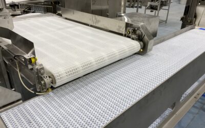 3 Best Conveyor Belts for Protein Processing